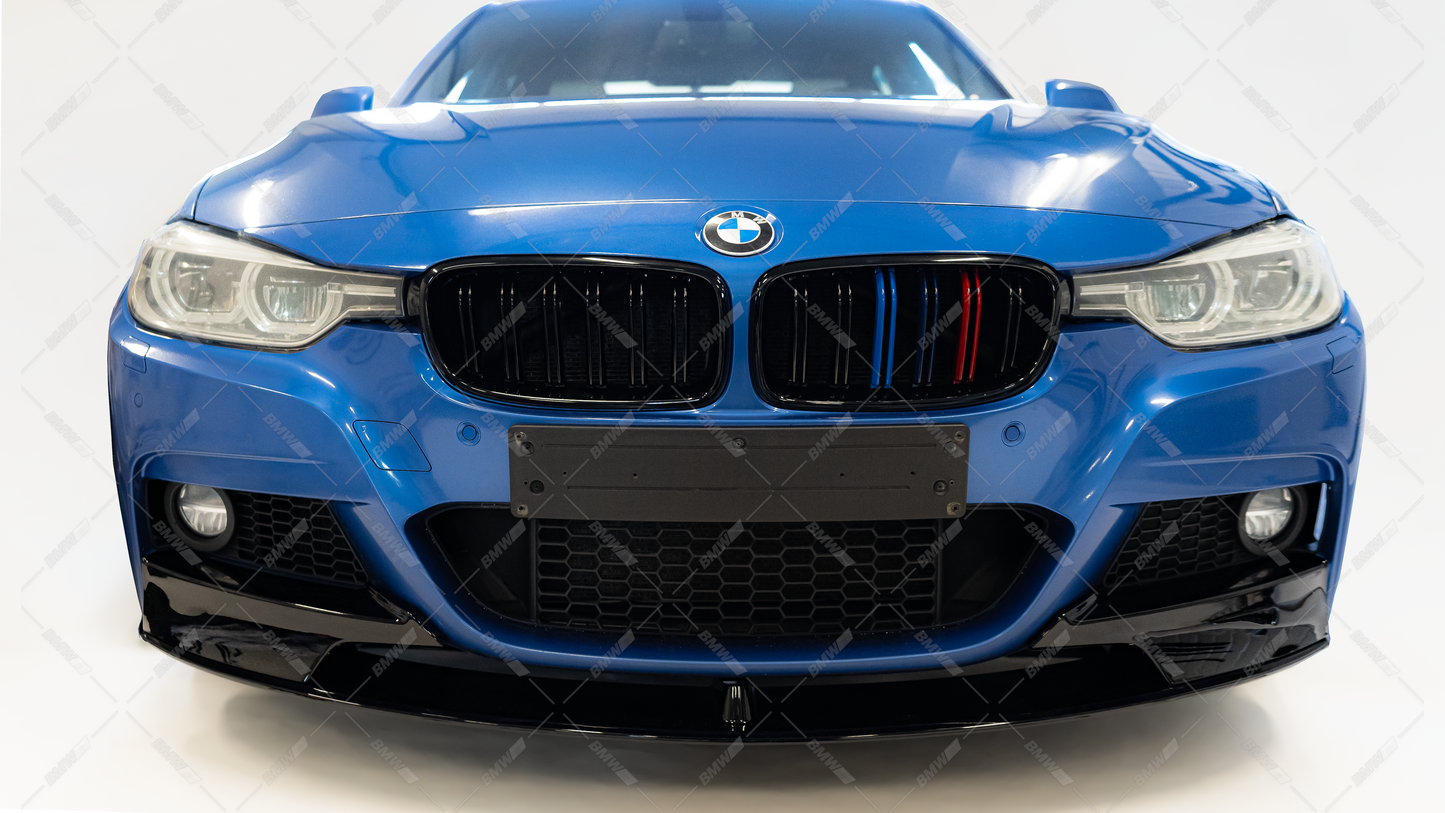 BMW F30 F31, M-Look kidneys M-color