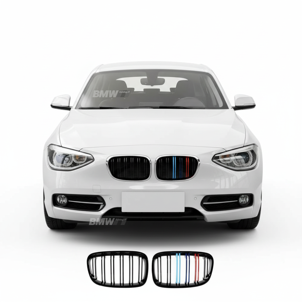 BMW F20 F21, M-Look kidneys M-color