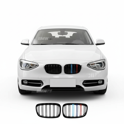 BMW F20 F21, M-Look kidneys M-color